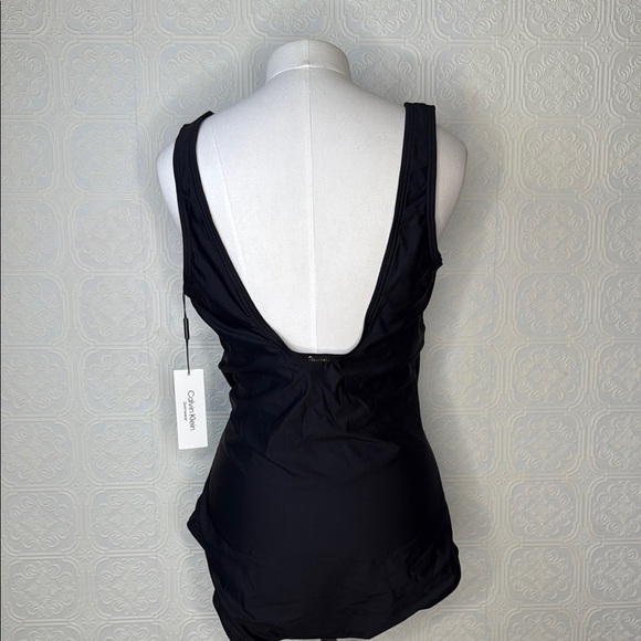 Calvin Klein | Standard Front Shirring Colorblock Panel One Piece, Size 14, NWT - Picture 4 of 15